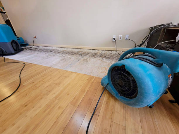 Professional Flood Damage Cleanup technician working in Magnolia, TX